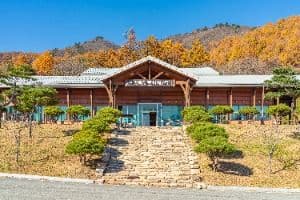 예천목재문화체험장
