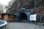 Gossigul Cave [National Geopark] (고씨굴-강원고생대 국가지질공원)