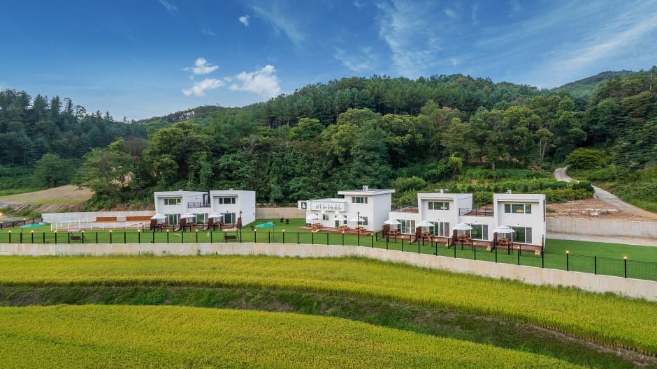 펫티움애견펜션