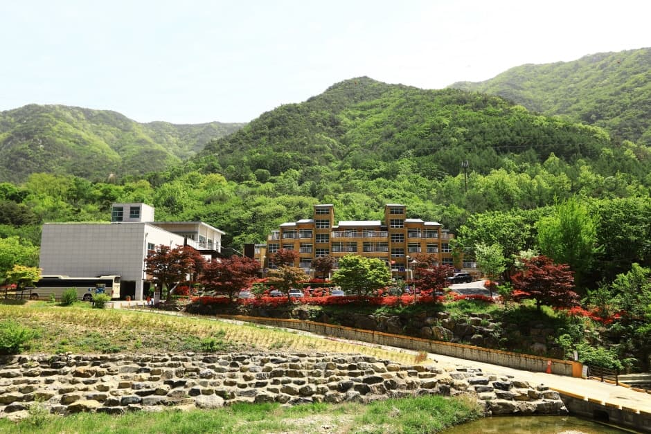 장령산자연휴양림