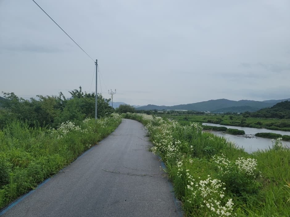 [강원평화누리길 2코스] 철원 두루미 머무는길