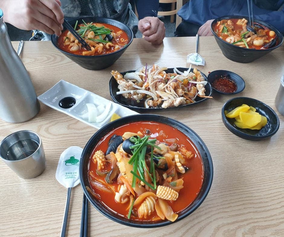 짬뽕나무