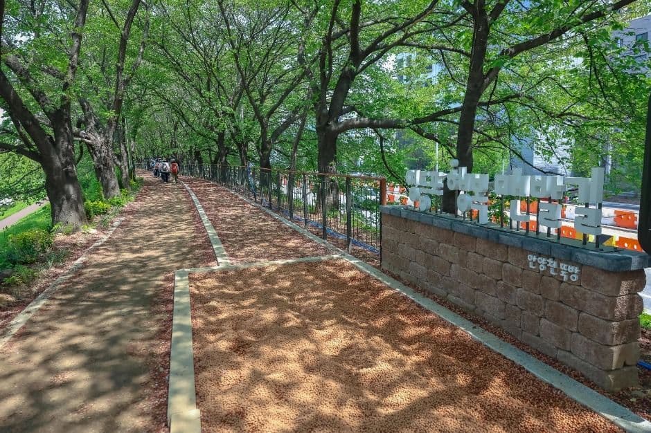 [서울둘레길 14코스] 안양천 하류코스