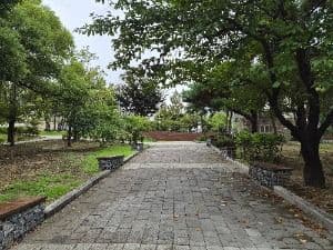Photo 15