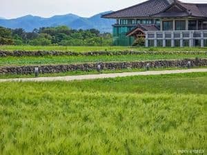 경주 황룡사지