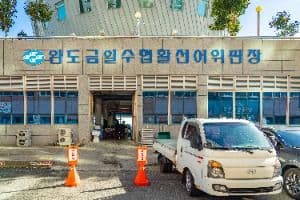 완도 금일 수협활·선어위판장