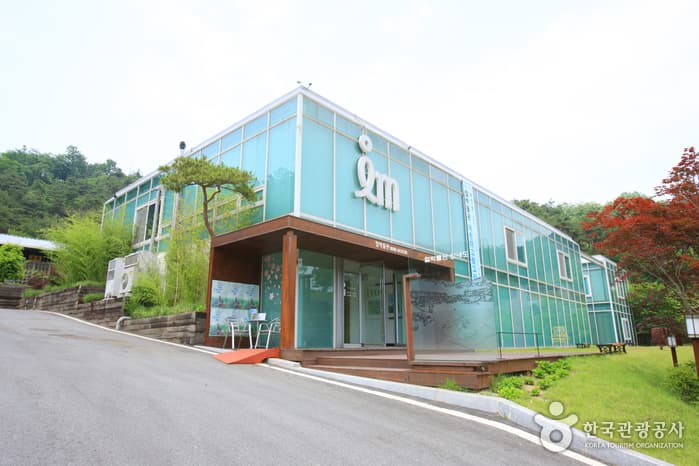 특별한 테마 가득한 이색 체험여행