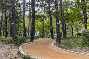 서울창포원