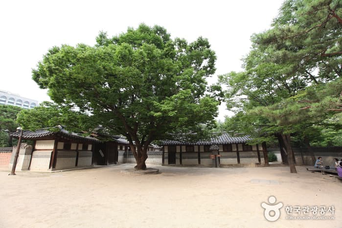 동대문 주변에서 만나는 역사의 현장
