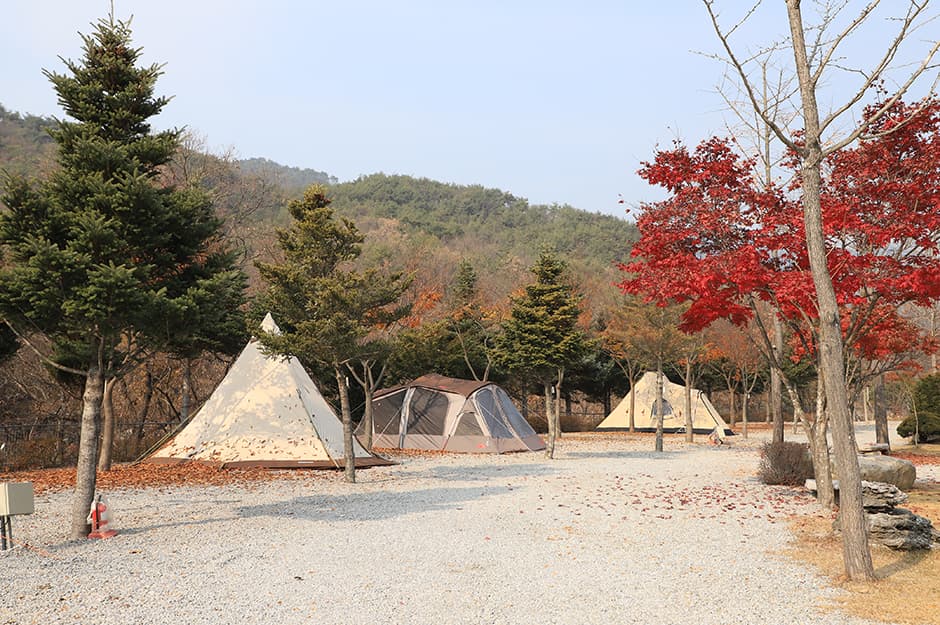 프라임캠핑장