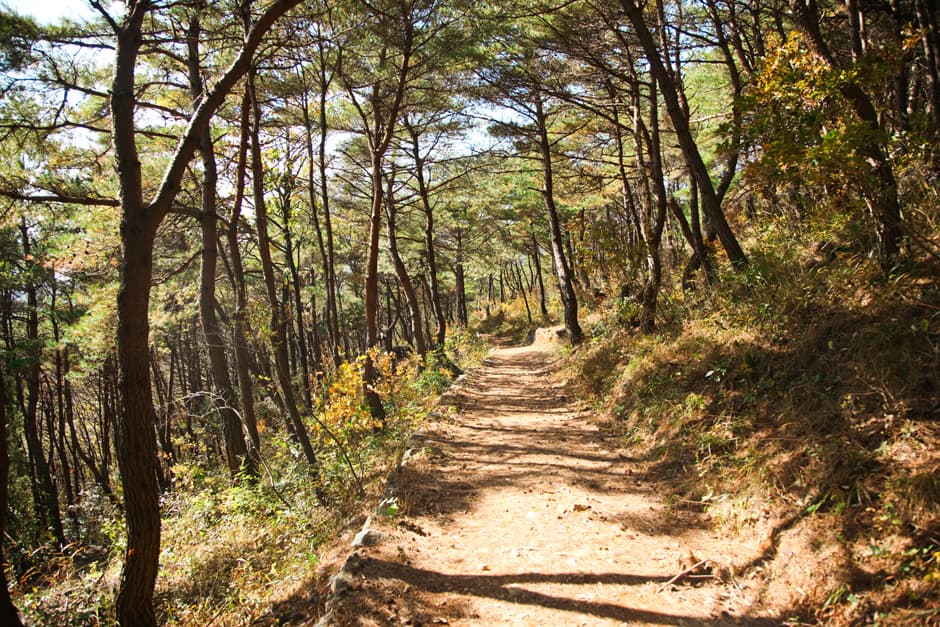 [지리산둘레길] 운리-덕산
