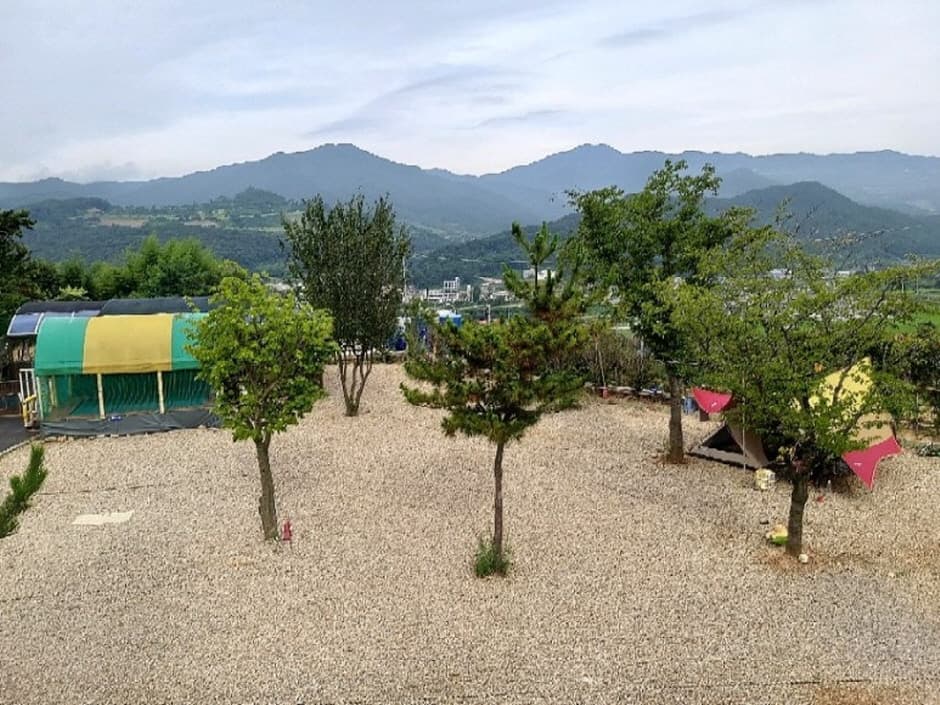 캠핑라운드