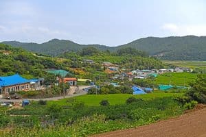 약산도(조약도)