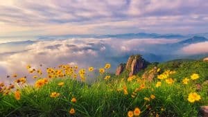 대둔산도립공원(전북)