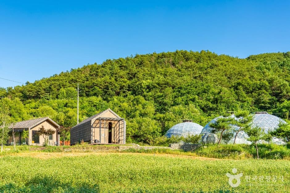 맹개마을