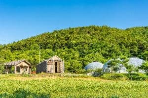 맹개마을