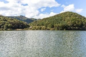 충도저수지