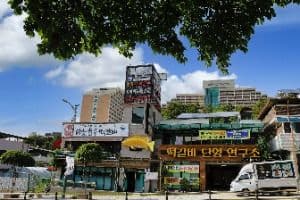 비원쏘가리