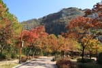 Yongmasan Mountain (용마산)