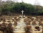 Chimyeongjasan Holy Ground (치명자산성지)