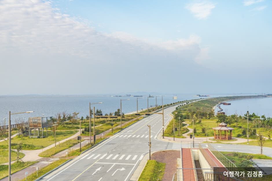 가창오리의 화려한 군무를 만나다