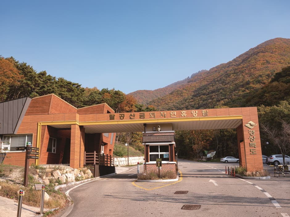 팔공산금화자연휴양림캠핑장