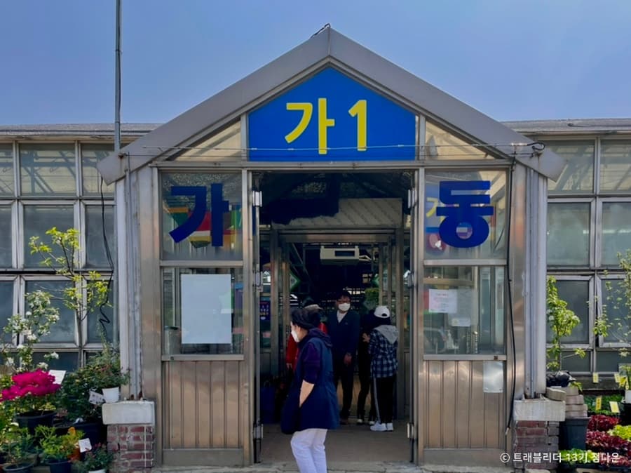 양재꽃시장