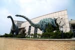 Tracksite of Dinosaurs, Pterosaurs, and Birds in Uhang-ri (우항리 공룡화석자연사유적지)