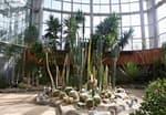 Bucheon Botanical Garden (부천식물원)