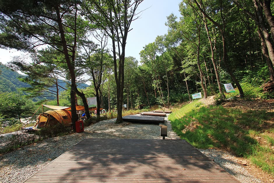 용현자연휴양림야영장