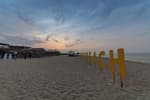 Yangyang Surfyy Beach (서피비치, 서핑(양양))