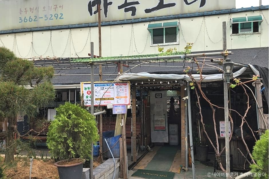 마곡오리
