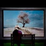 Jeju Holic Museum (제주홀릭뮤지엄)