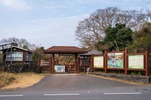 화순곶자왈 생태탐방숲길
