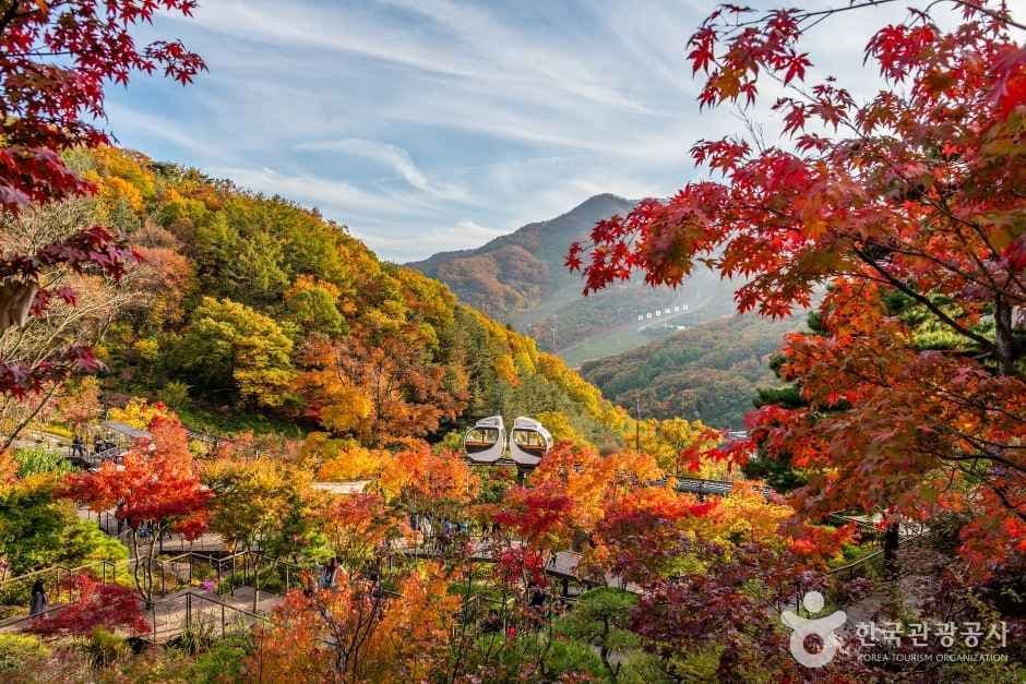 Hwadam Botanic Garden (화담숲)