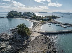 사도