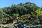 Yongin Recreational Forest (용인자연휴양림)