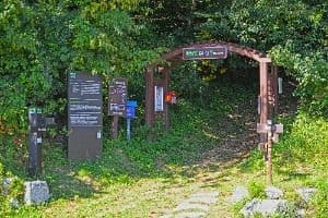[평화누리길 3코스] 한강철책길