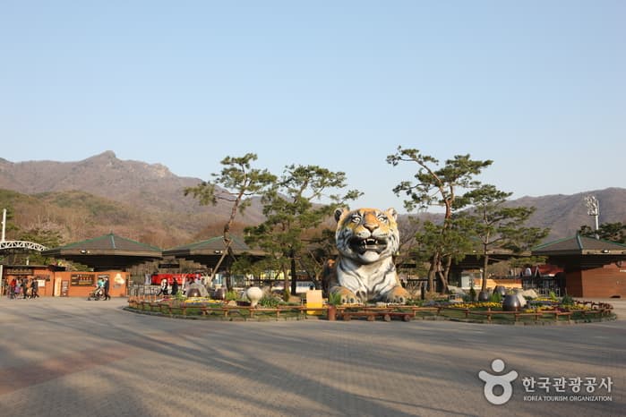 Seoul Grand Park (서울대공원)