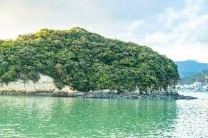 주도