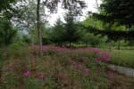 Garisan Recreational Forest (가리산자연휴양림)