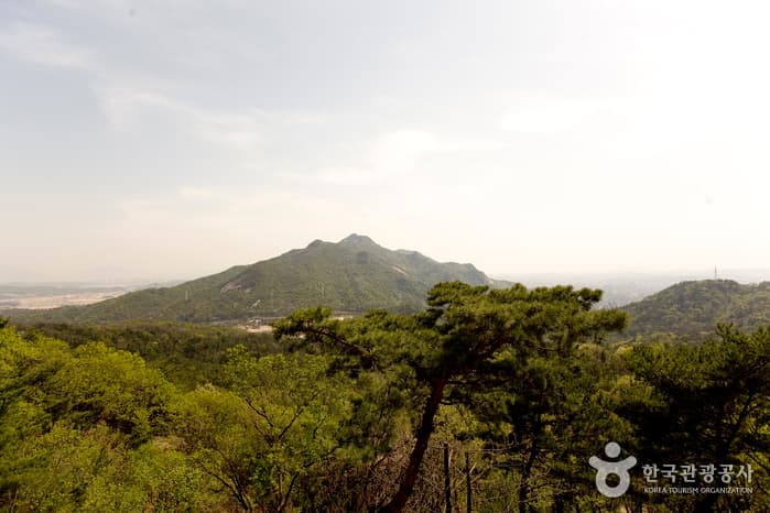 Suraksan Mountain (수락산)