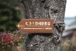March 1st Independence Movement Road (3·1만세운동길)