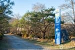수풀로 삼회리