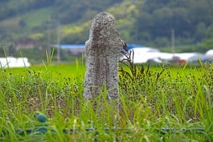 사곡리남근석