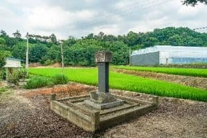 김남택신도비