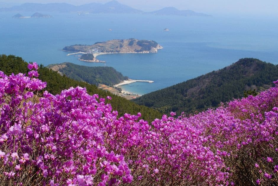이수도