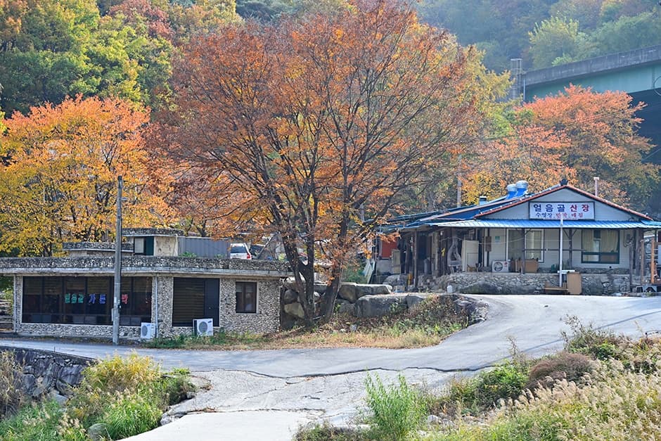 얼음골가든