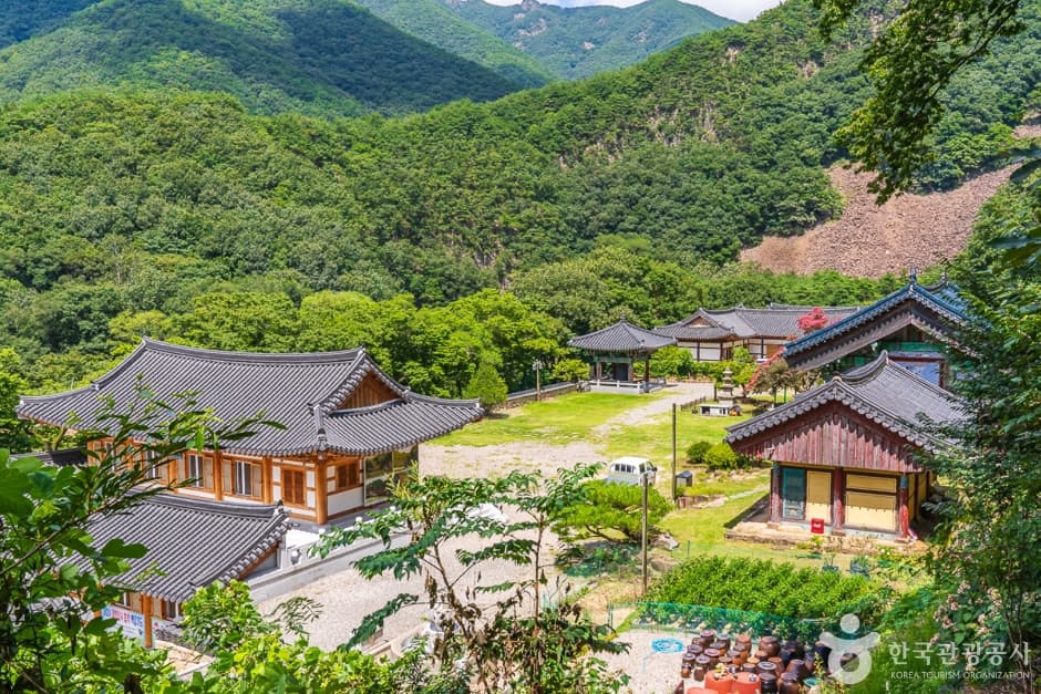 반야사