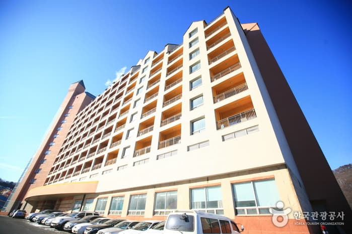 Yangji Pine Resort (양지파인리조트)